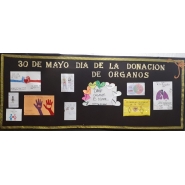 DONACIÓN DE ÓRGANOS